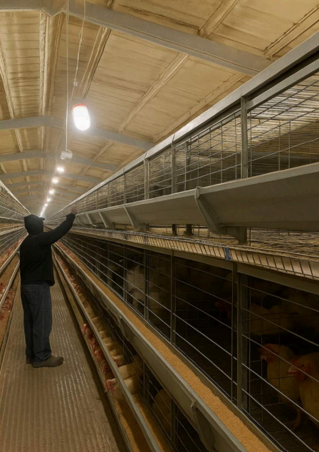 Captura De Pantalla 2025 11 24 185917